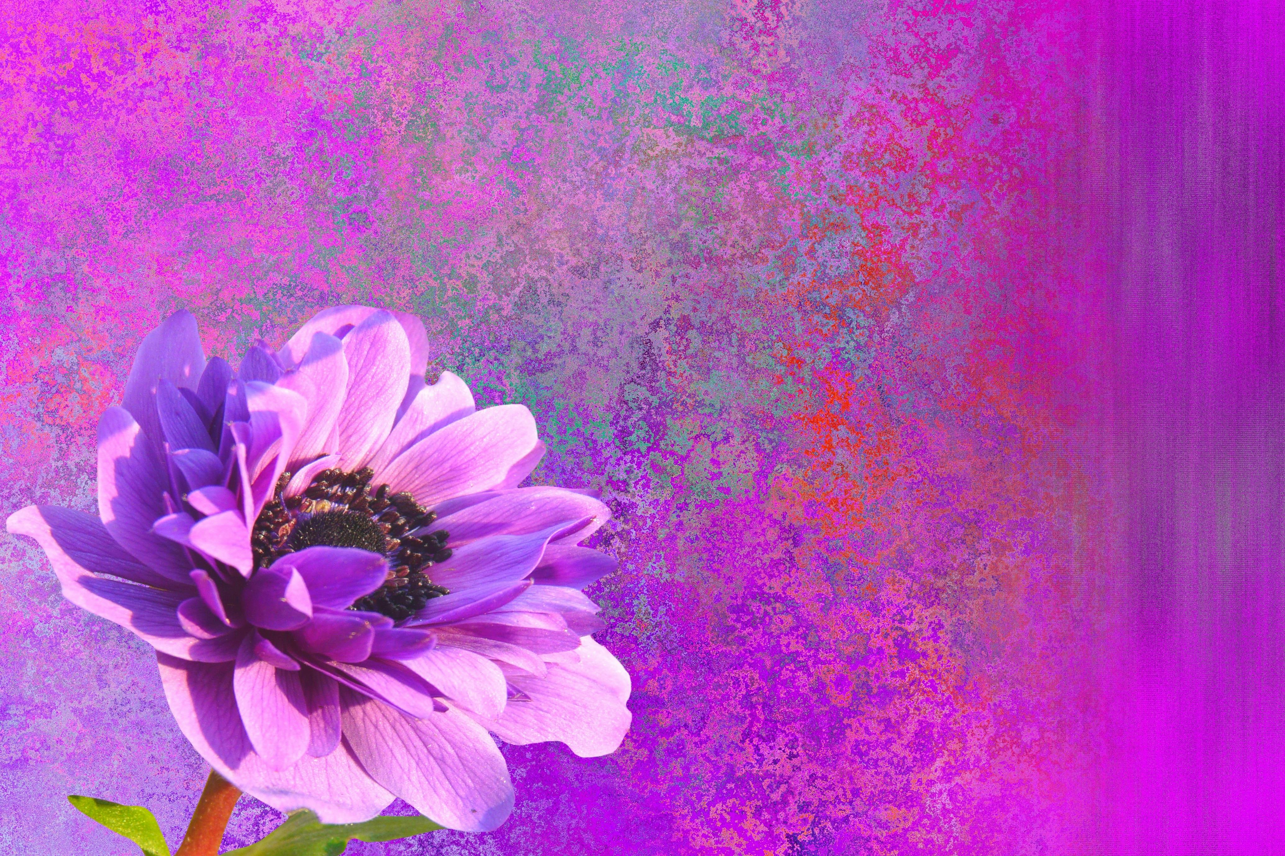 بازیکنان فوتبال ناامید در زمین بازی